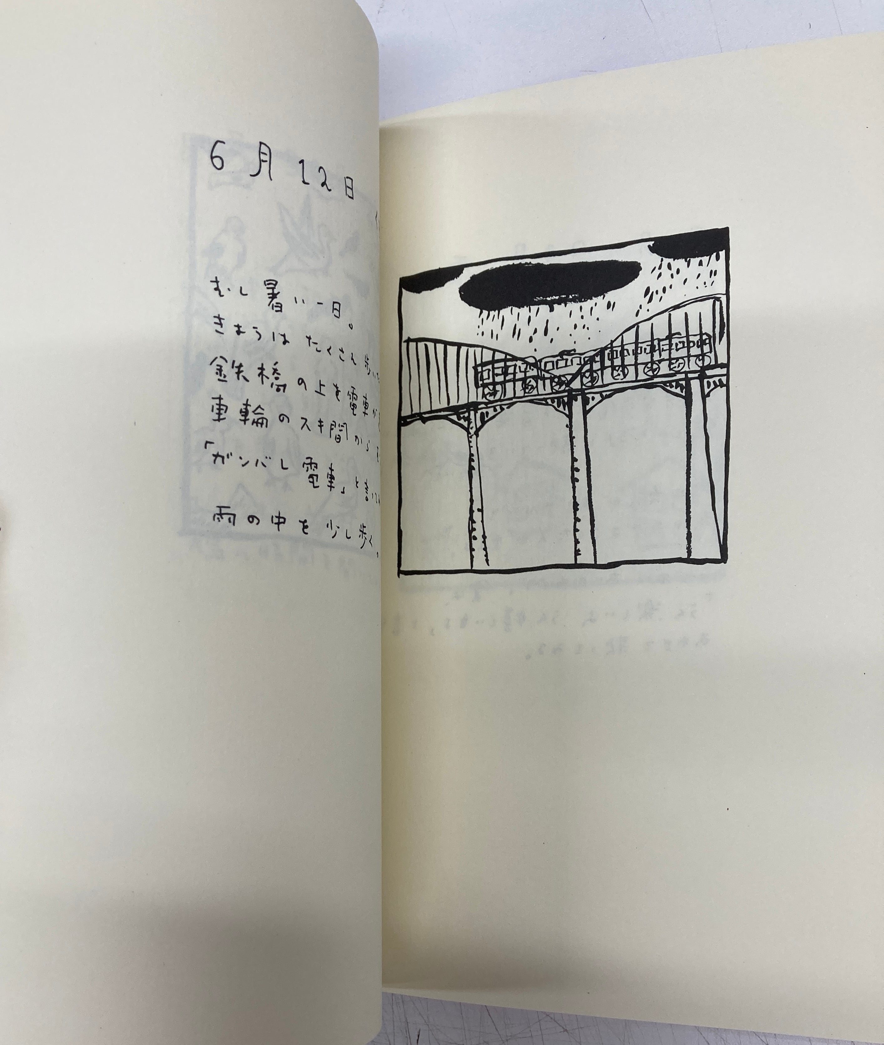 荒井良二 ホーラ・イワンコッチャナイの日記 限定300 116/300 1996年