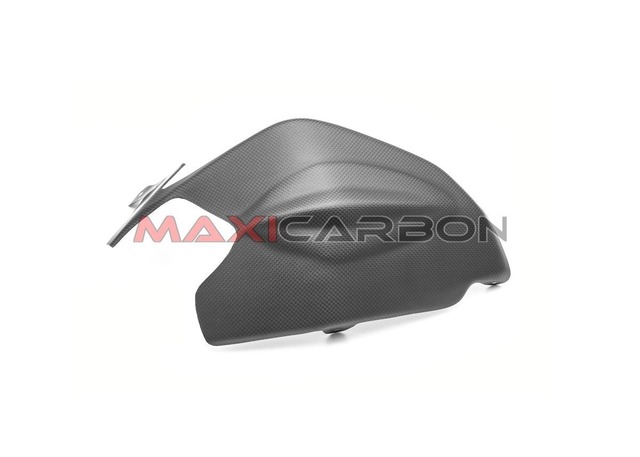 Panigale V2　スイングアームカバー　ドライカーボン