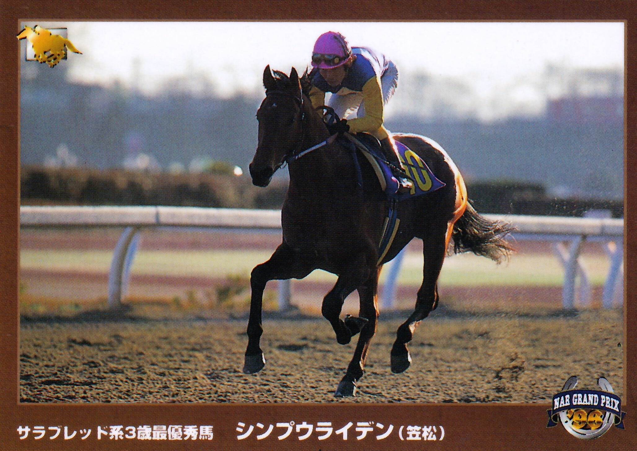 シンプウライデン：サラブレット系3歳最優秀馬「サラブレッドカード 97