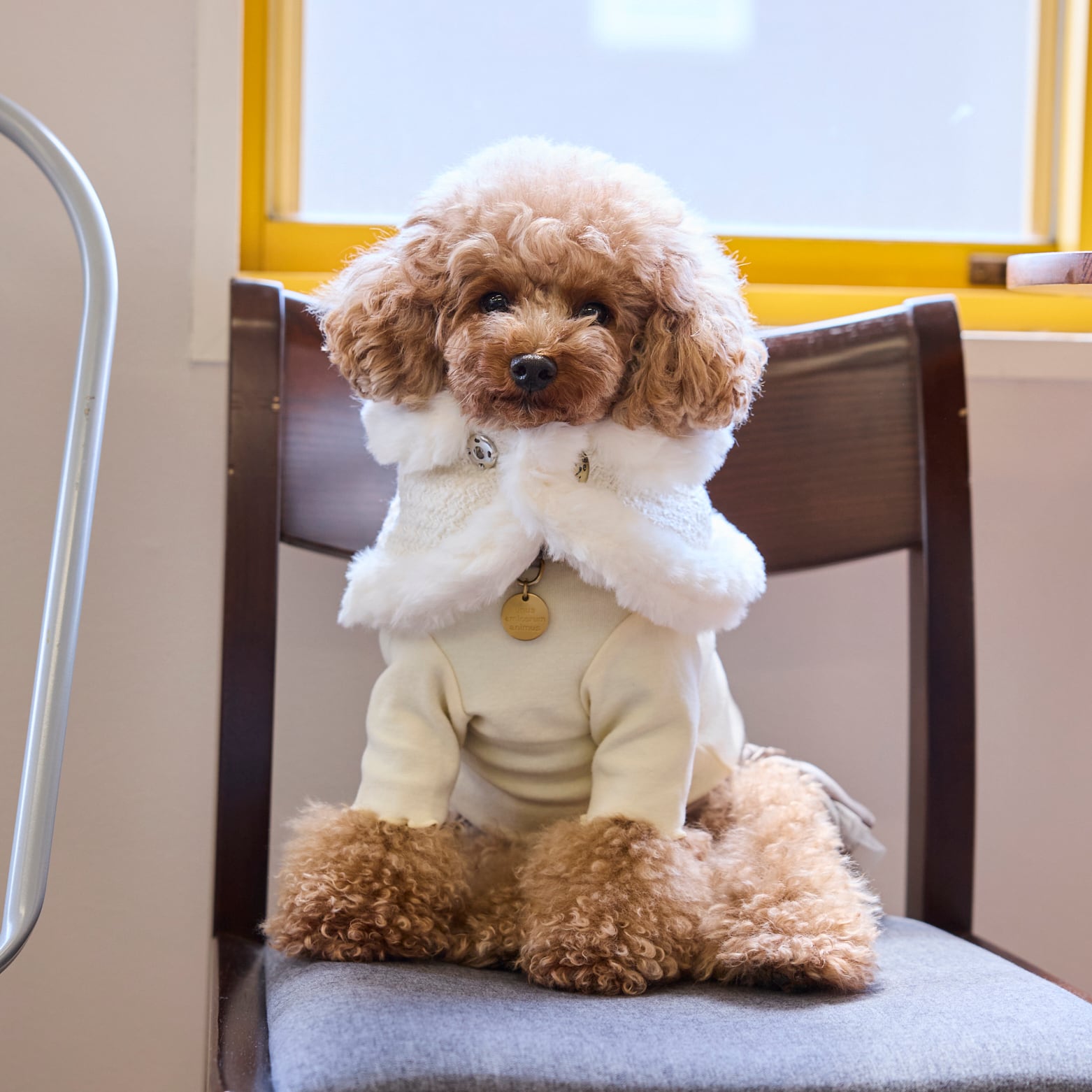 252514］ケープ | 犬服ブランド 2e deuxieme cale | おしゃれなドッグ