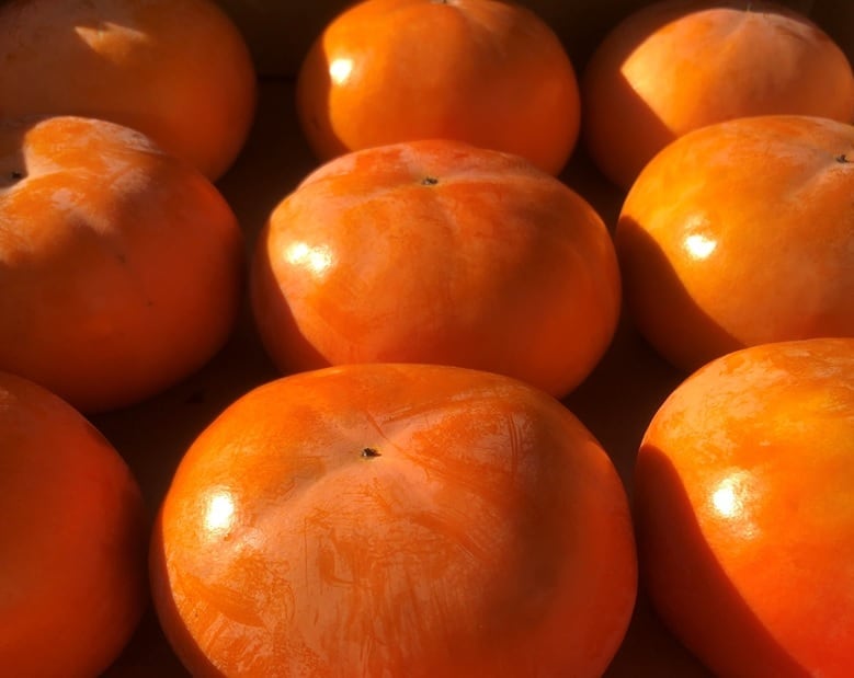 富有柿(確認用) 送料無料【贈答用】Lサイズ 2段28個 岐阜県産富有柿 | ぶらりっく