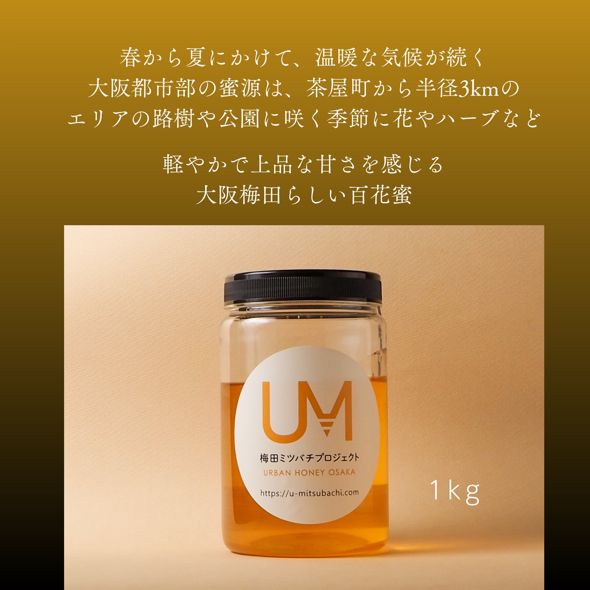国産はちみつ。ニホンミツバチ。合計1.1kg 完売御礼☆国産はちみつ