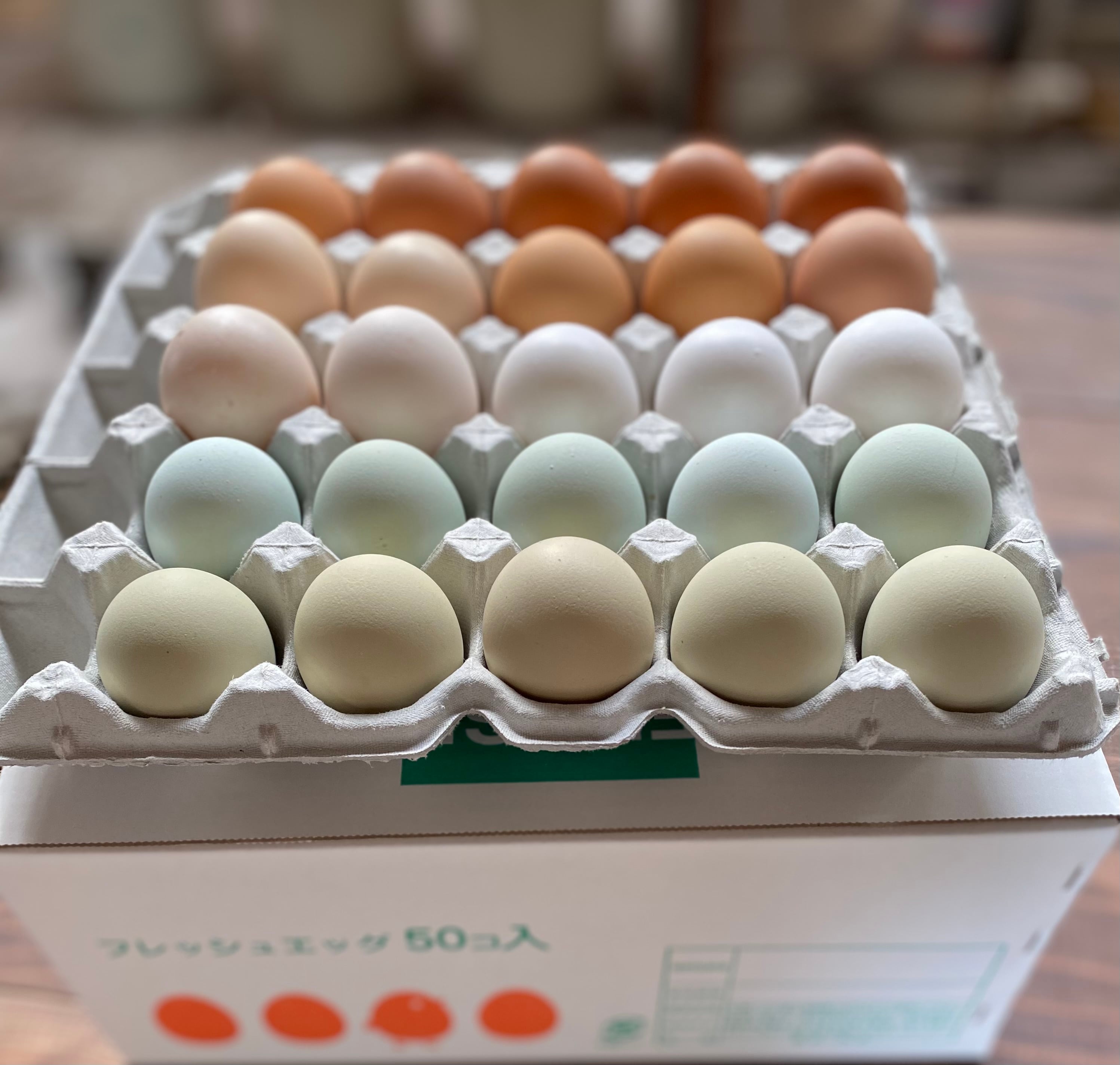 チキチータの自然卵45個箱入り | 自然養鶏チキチータファーム