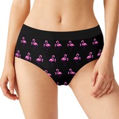 Women's Mid Waisted Briefs Black 4493