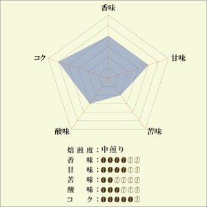 コーヒー豆　中煎り ドミニカ 100g