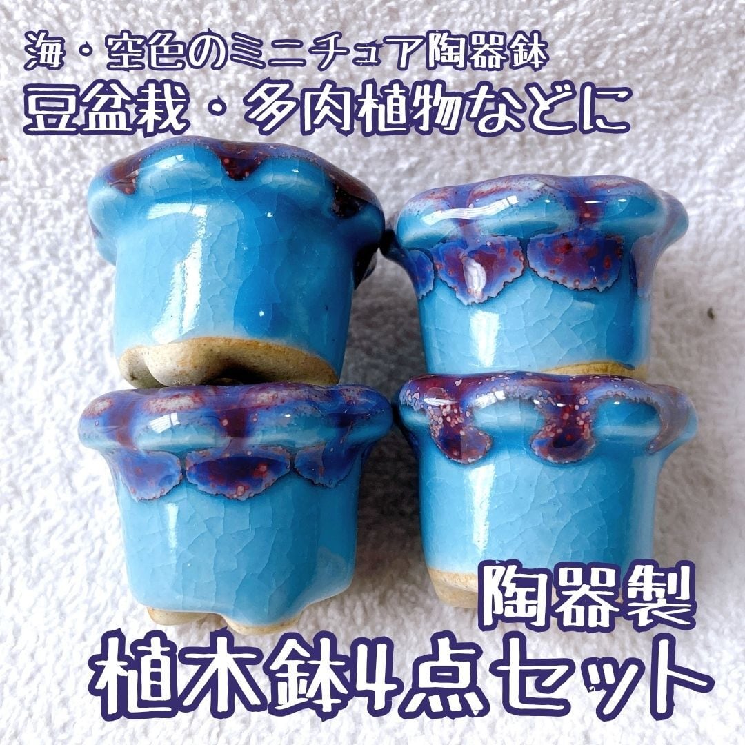 水色のミニチュア陶器植木鉢 4点セット】シンプルな形で植物がかわいく