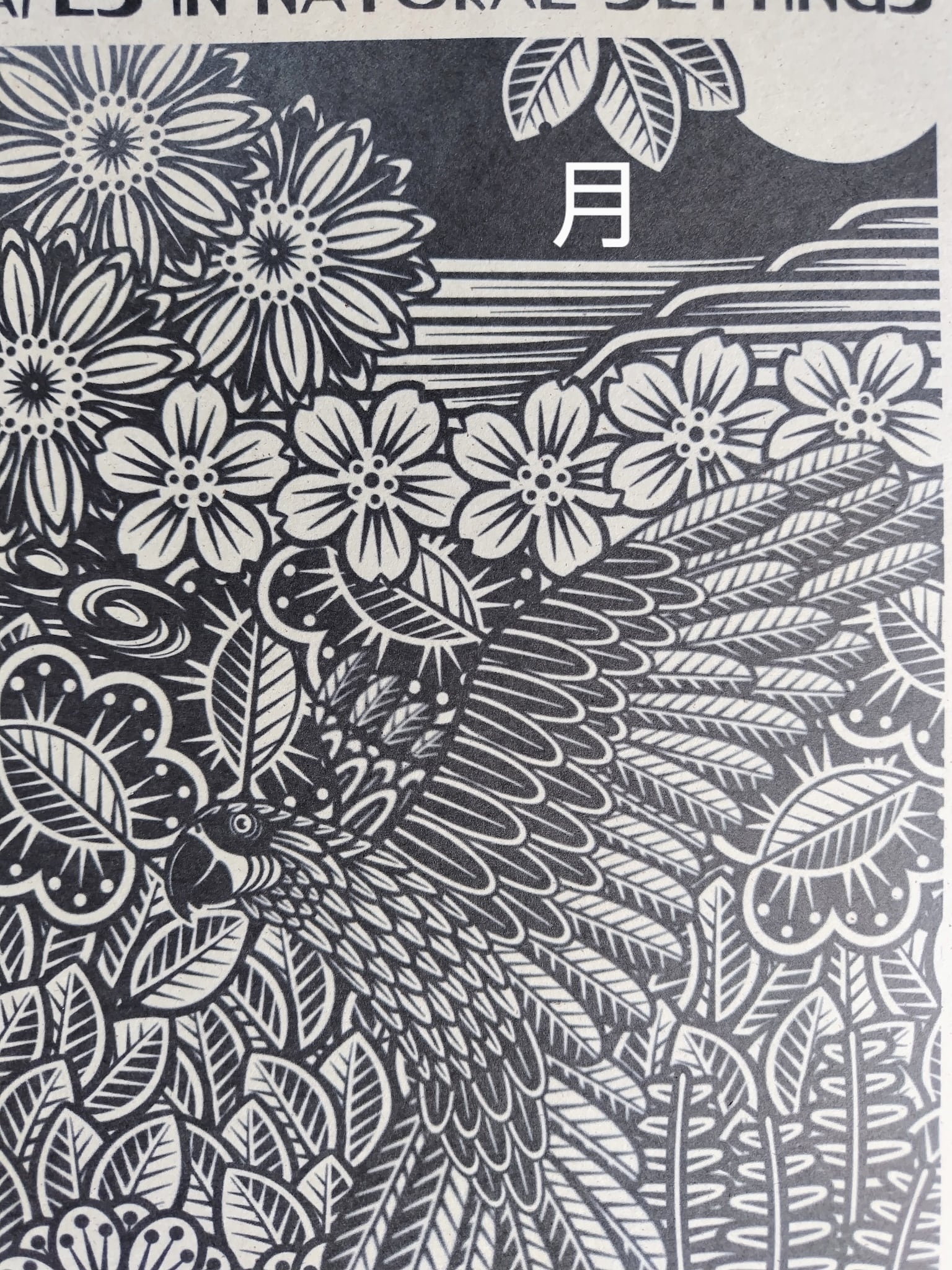 A-030【DELUXE】花鳥風月 | TAKENOKURASHI