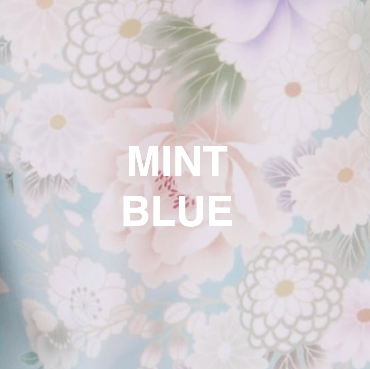 袴 MINT BLUE(撮影プラン)