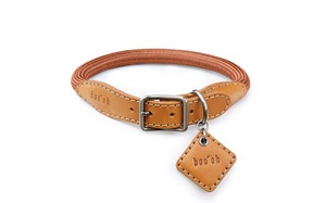 Ray Collar -Camel