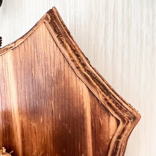 ビカクシダ ネザーランド 板付 【観葉植物 室内 コウモリラン】