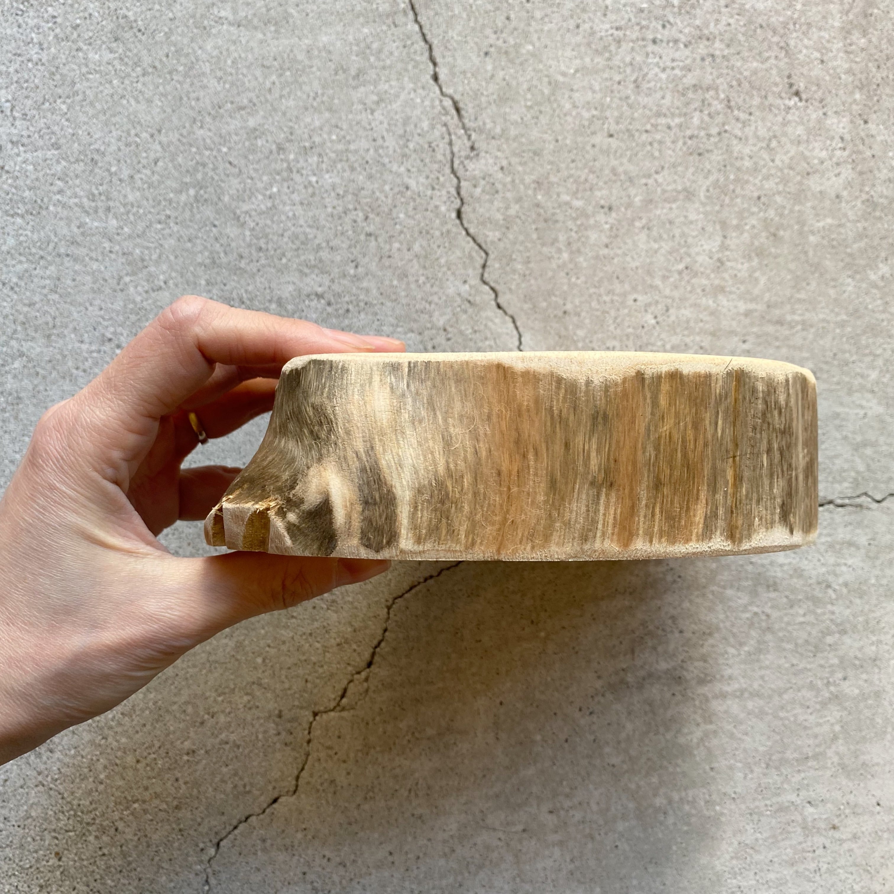 天然木 檜(ヒノキ)の輪切り (中) | tsuyukusa store 天然木 檜(ヒノキ)の輪切り (中) | tsuyukusa store