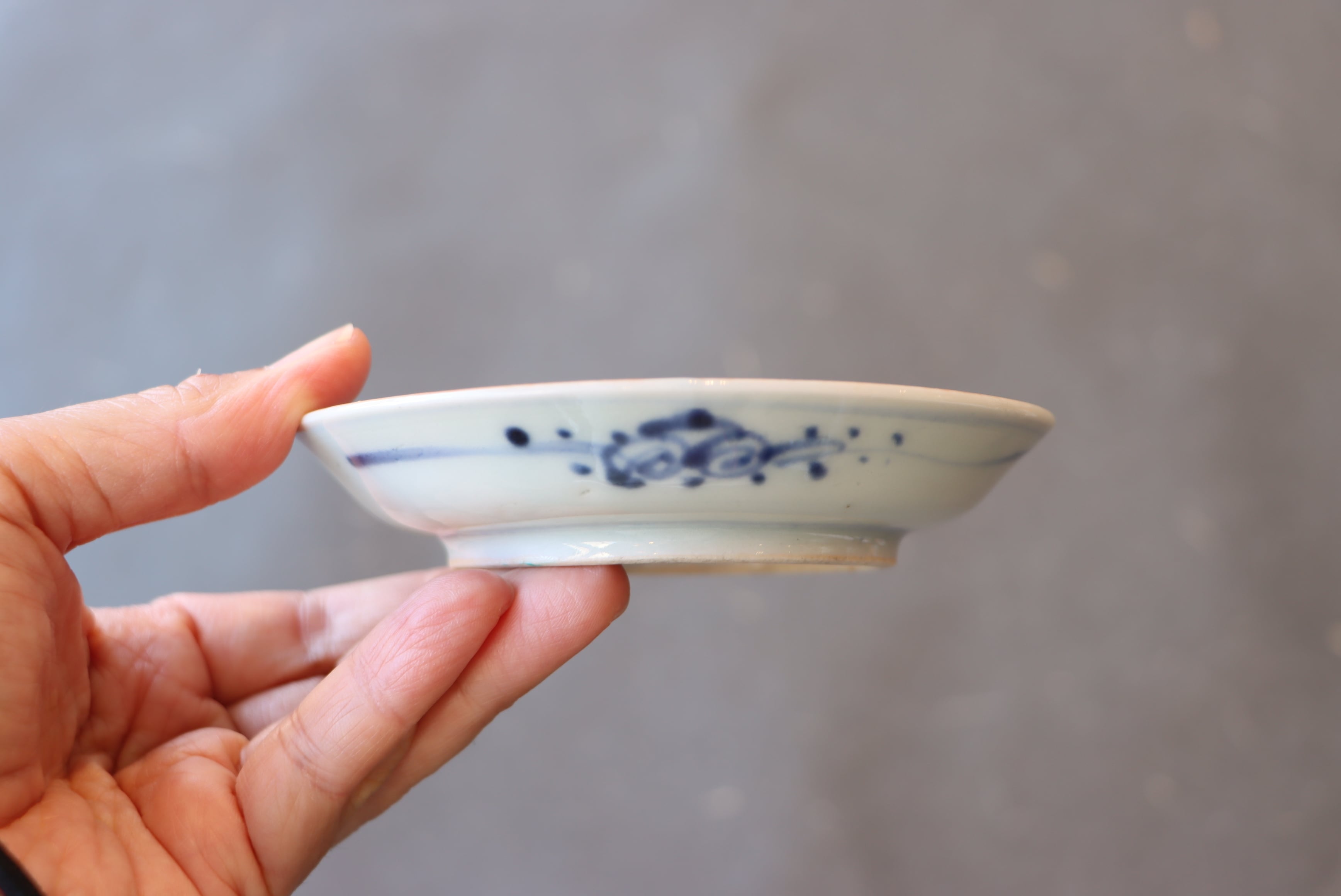 【未使用】升たか　色絵　花猫紋小皿 色絵 花文 小皿/Small size plate | (有)新原美術