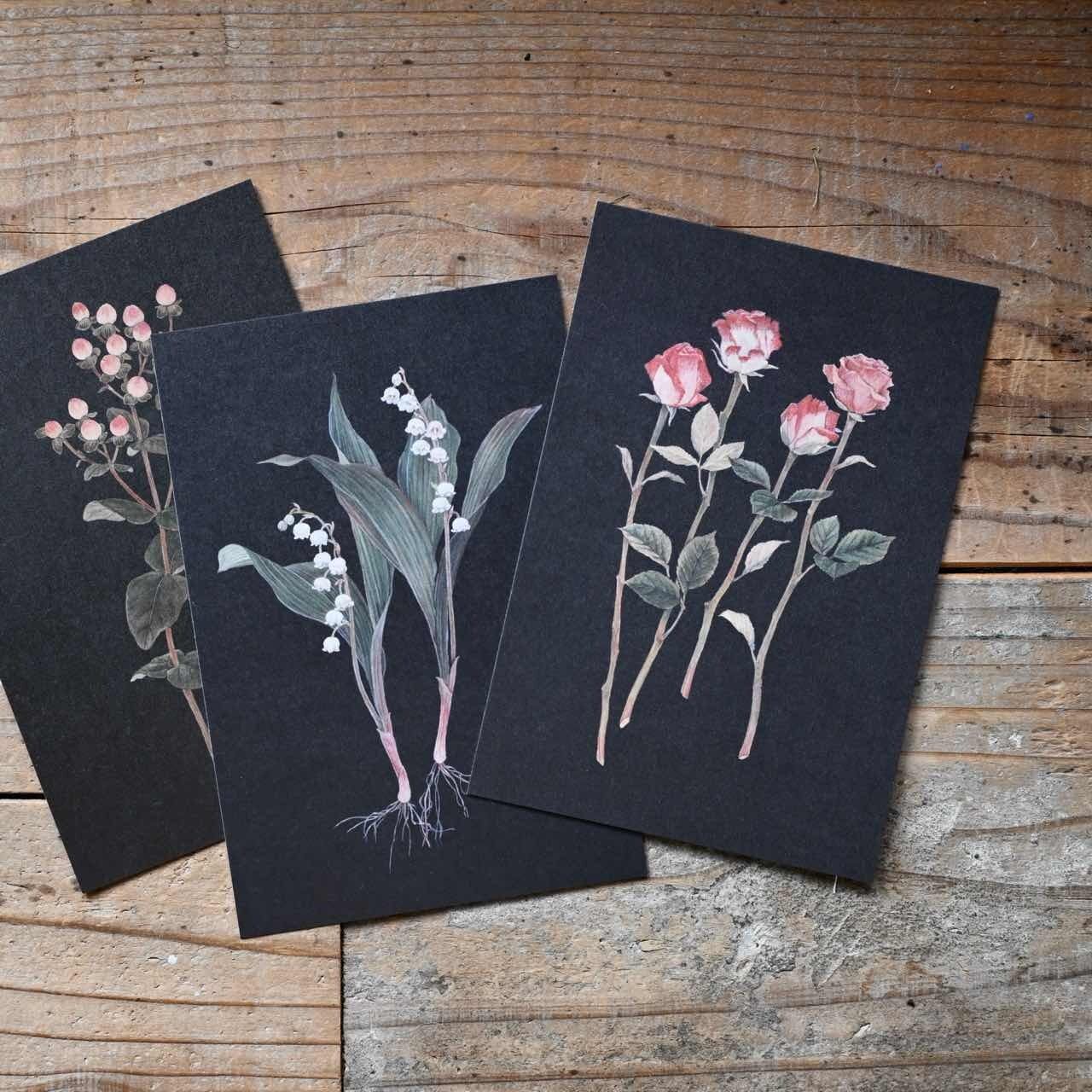 再入荷 】ポストカード sasaki megumi ヒペリカム｜黒 はがき イラスト