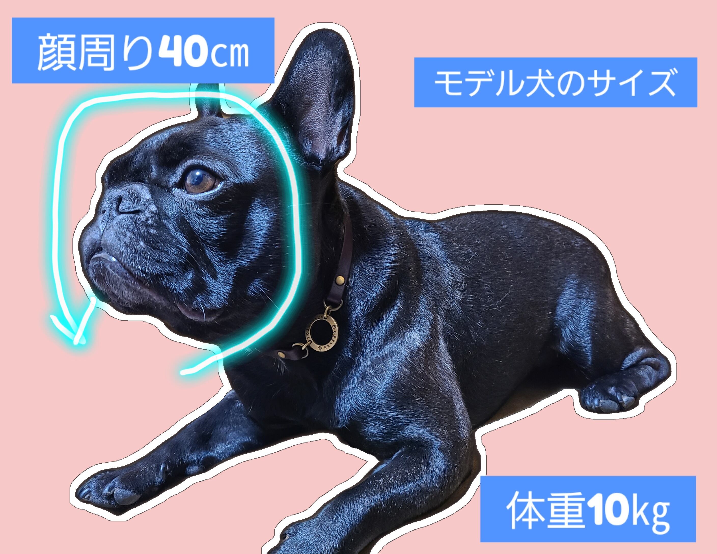 耳が出る麦わら帽子(犬用)『ナチュラル』 | PAY ID