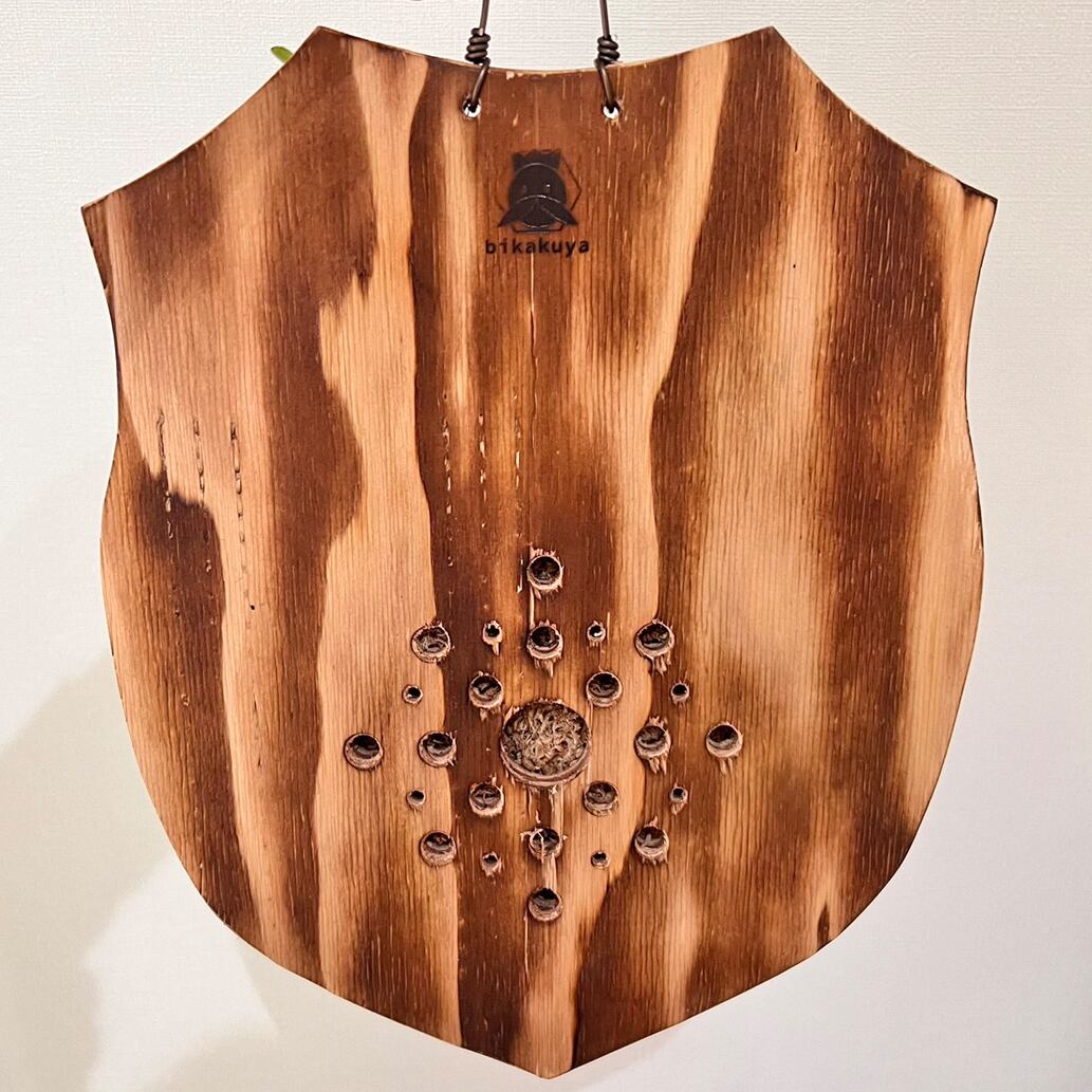 ビカクシダ グランデ 板付 【観葉植物 壁掛け コウモリラン