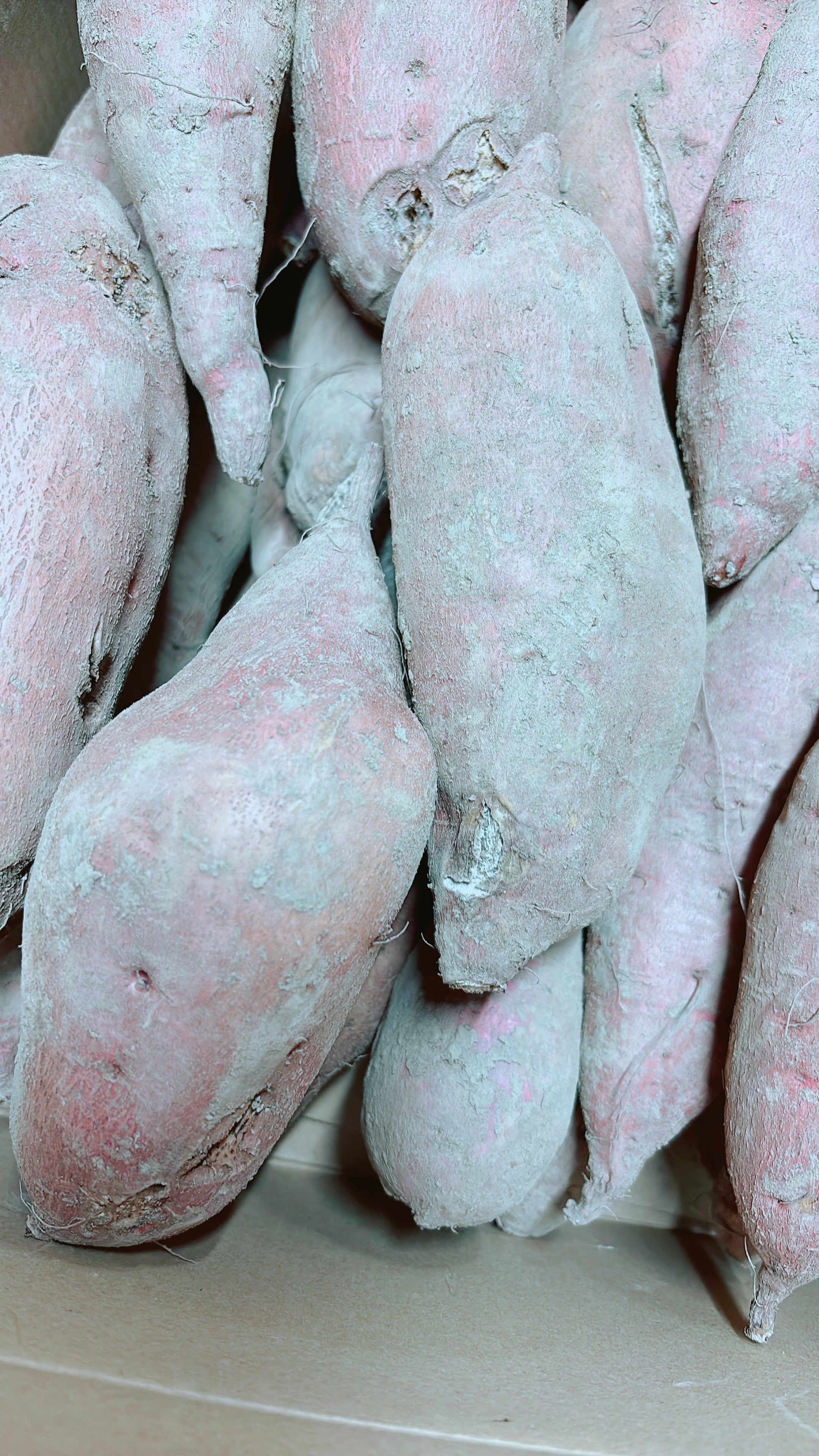 にのみや農園　訳あり 安納芋 箱入り(80サイズ) 同梱不可