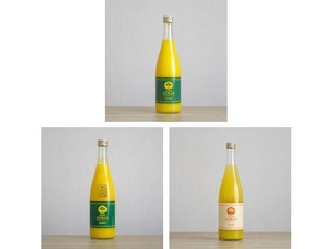 選べる【皮ごと・追熟・皮なし】伊予柑ジュース720ml 1本