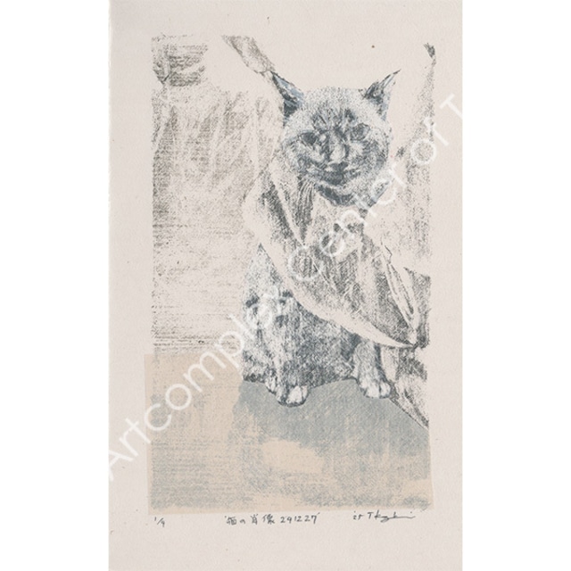 神﨑智子「猫の肖像241227」