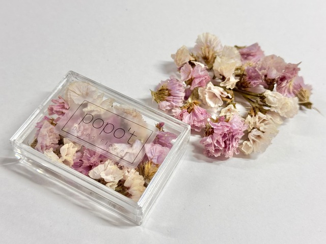 【NEW】ラメ付きニュアンススターチス