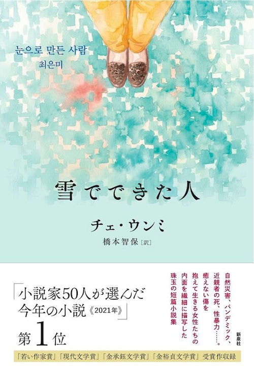 『雪でできた人』 チェ・ウンミ