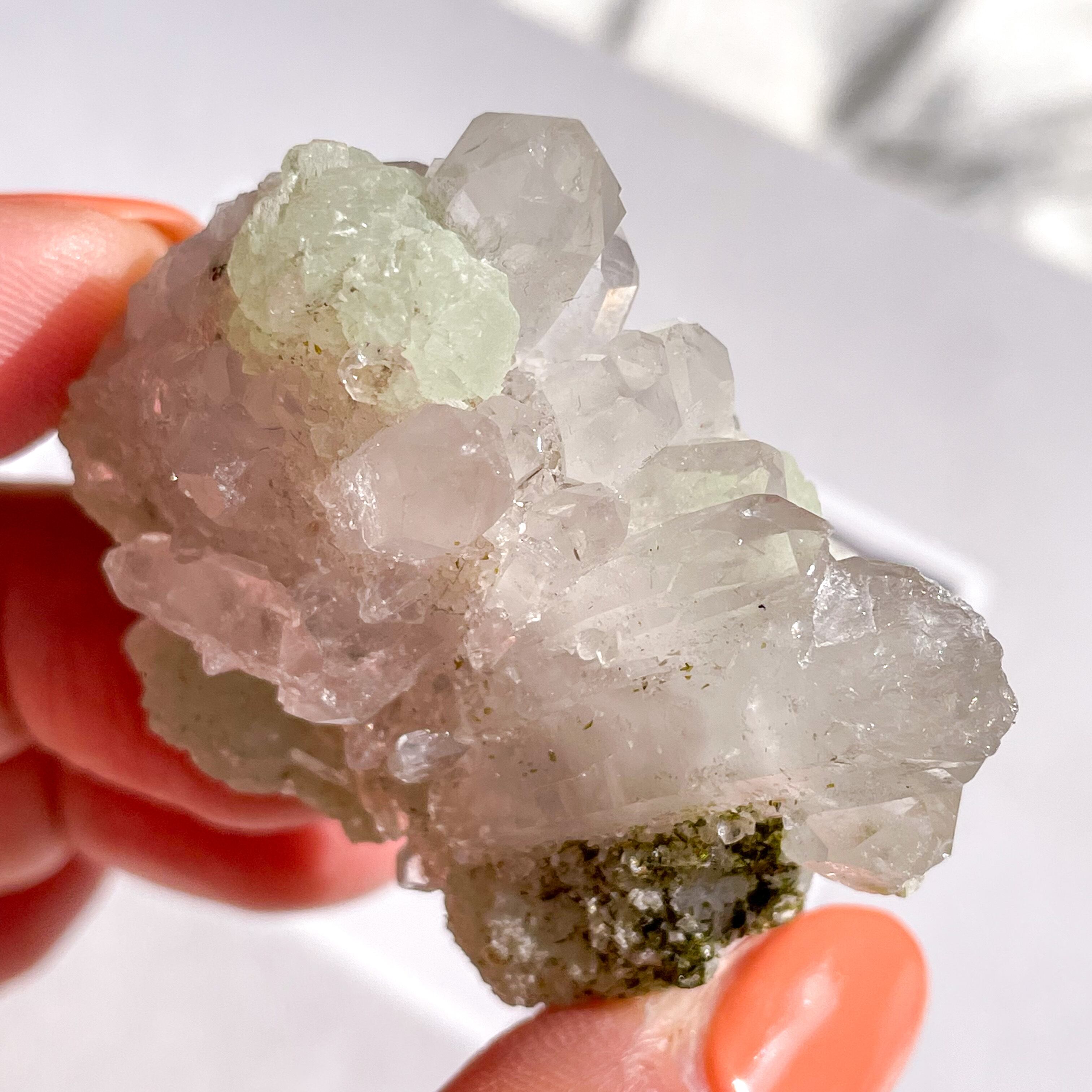 Prehnite & Quartz 1 ✧ プレナイト & クォーツ (共生原石)