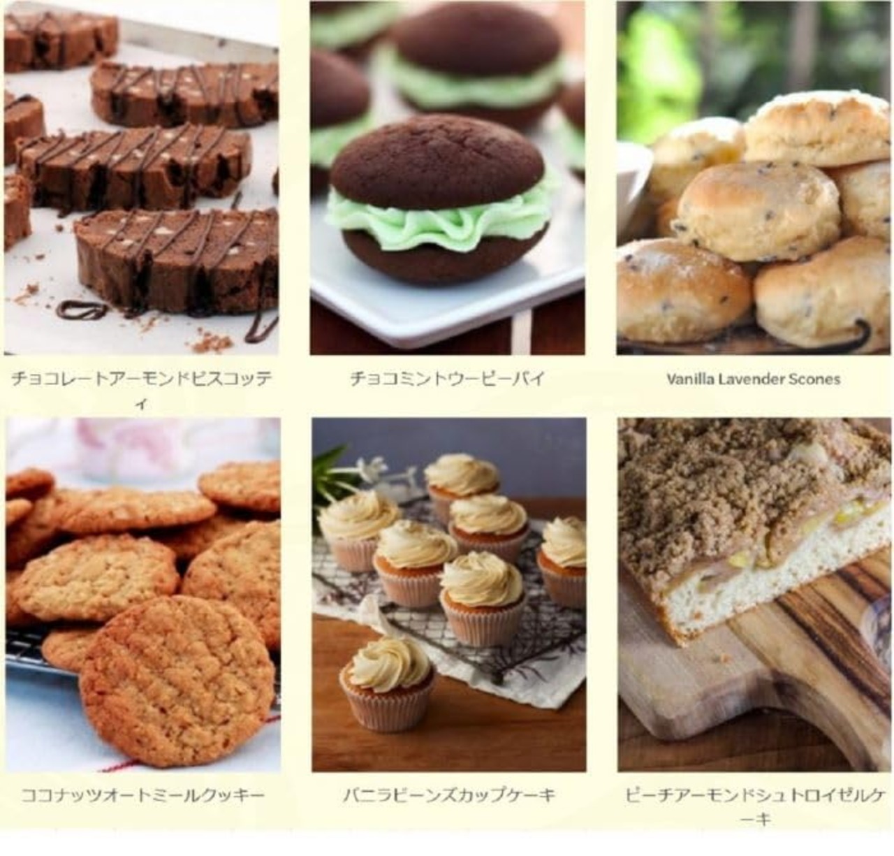 テイラー＆カレッジ　オーガニックバニラビーンズペースト 50g