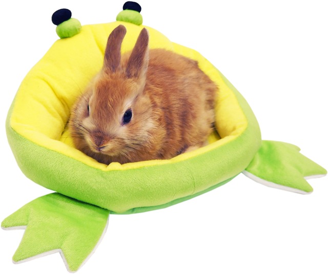 【小動物用品】みんなのベッド　カエル