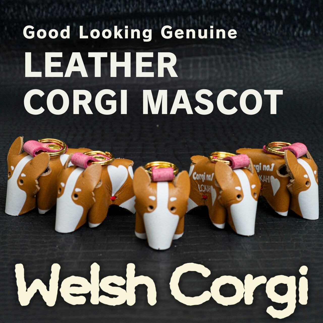 CORGI | LOKAHi