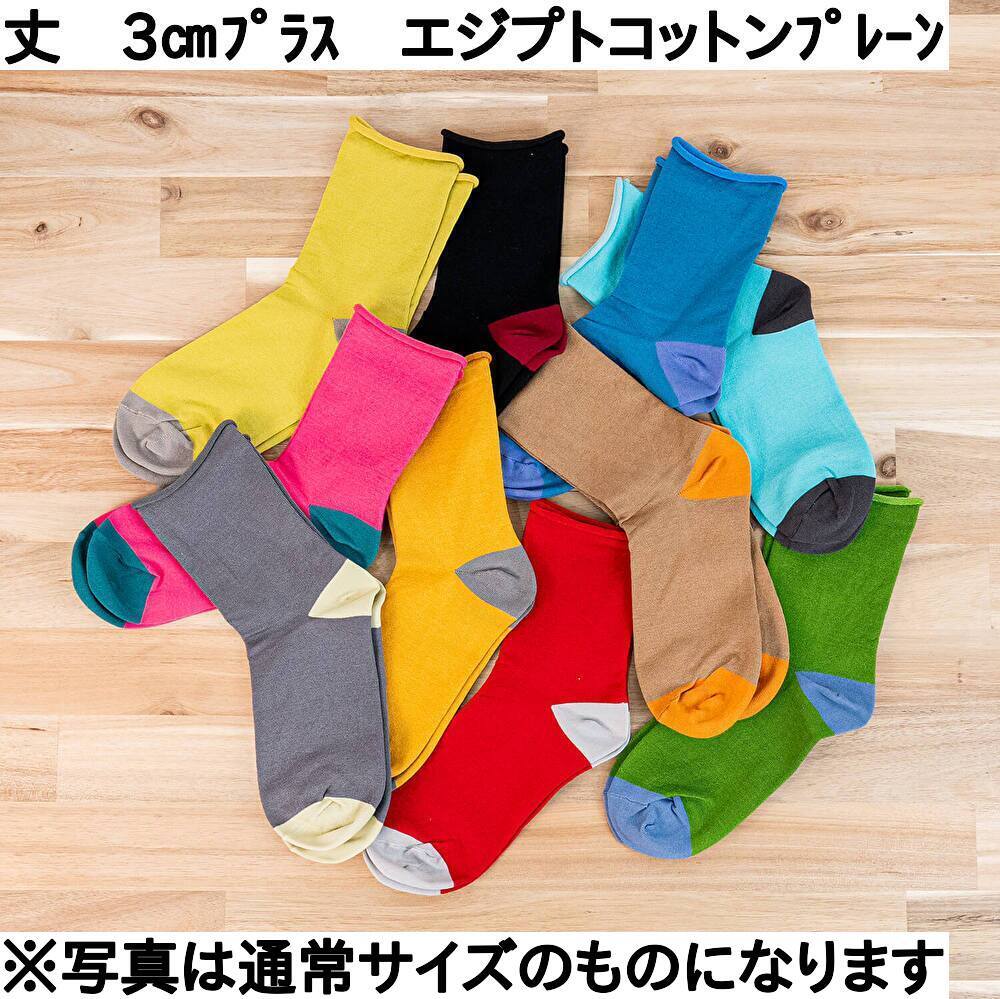 エジプトコットンプレーン (丈 3㎝プラスバージョン)