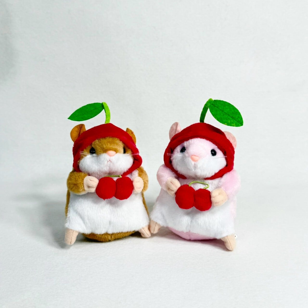 キャラクター | TORCH-Online Shop-