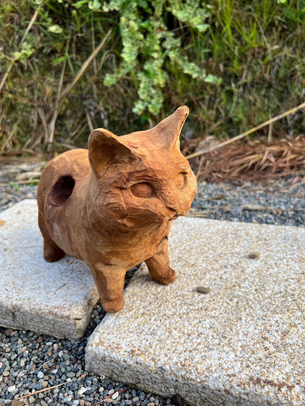 猫のヒゲ集め
