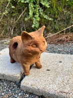 猫のヒゲ集め