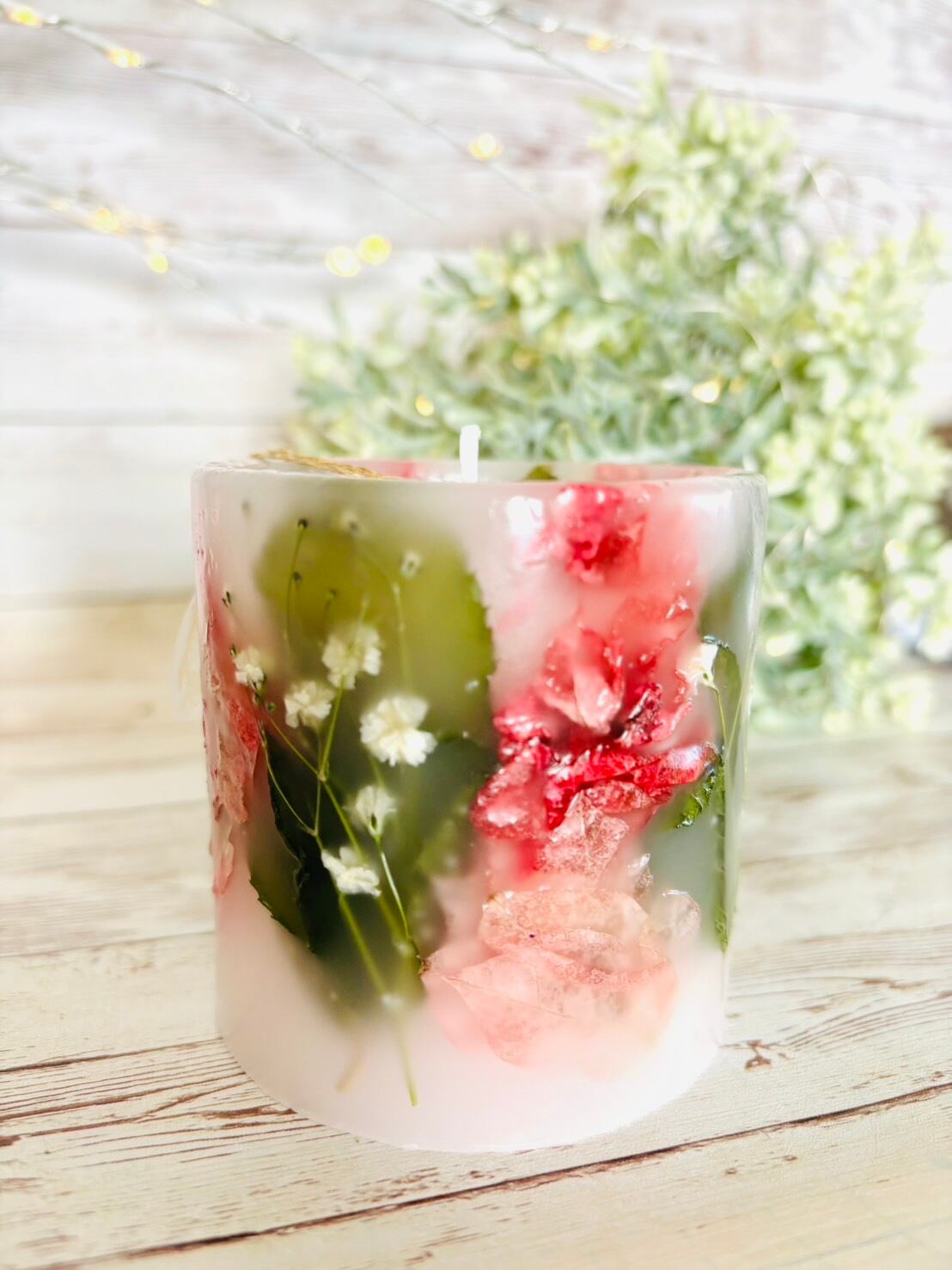 ブーゲンビリア