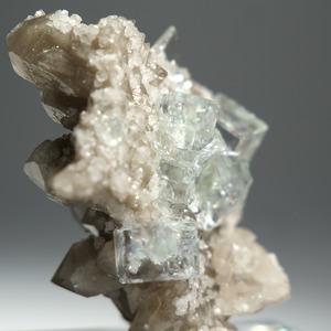 シャンファーリン産 フローライト スモーキークォーツ 共生 / 原石 標本【D_2】