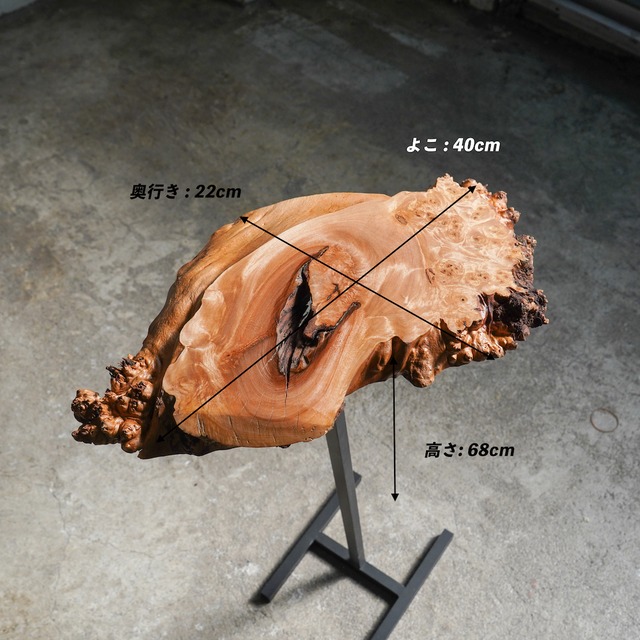 ミズメ瘤の輪切り ディスプレイ用テーブル コンソールテーブル