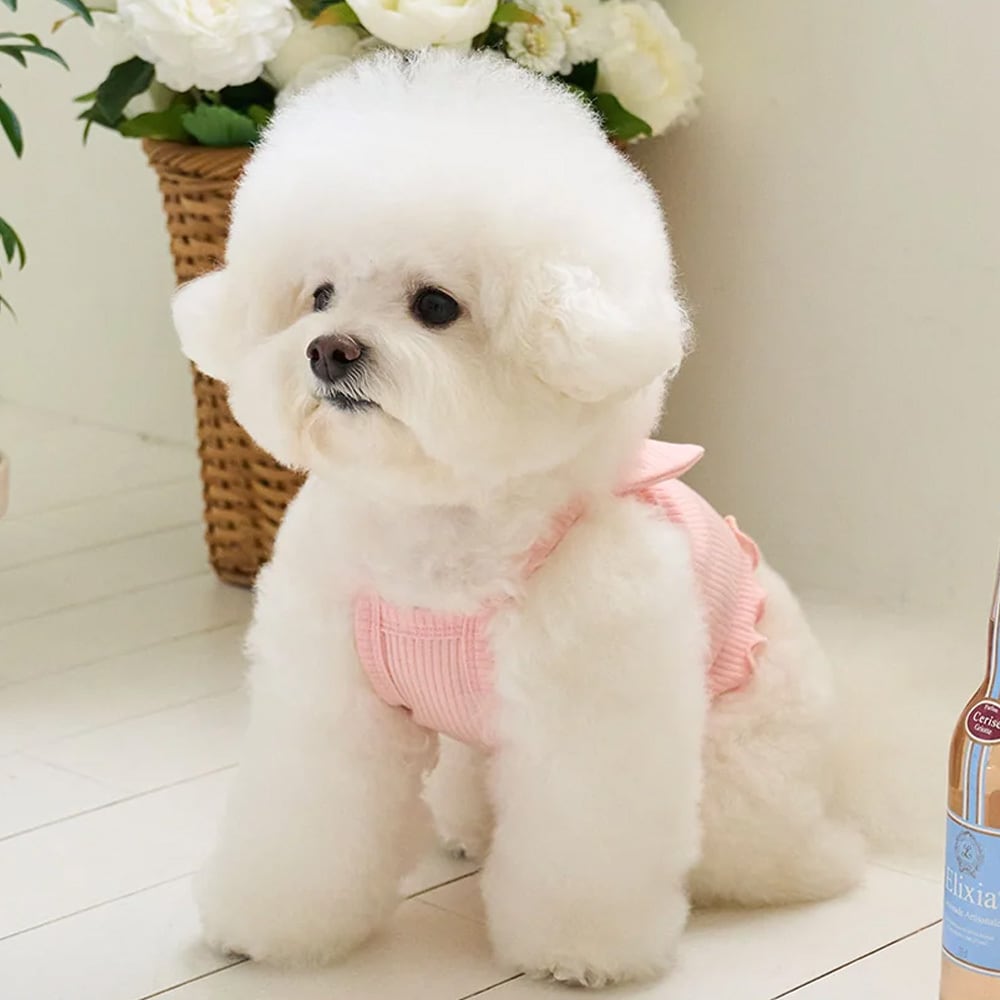 BENNYS リボニークロップトップ リボン ドッグウェア ペットウェア 犬