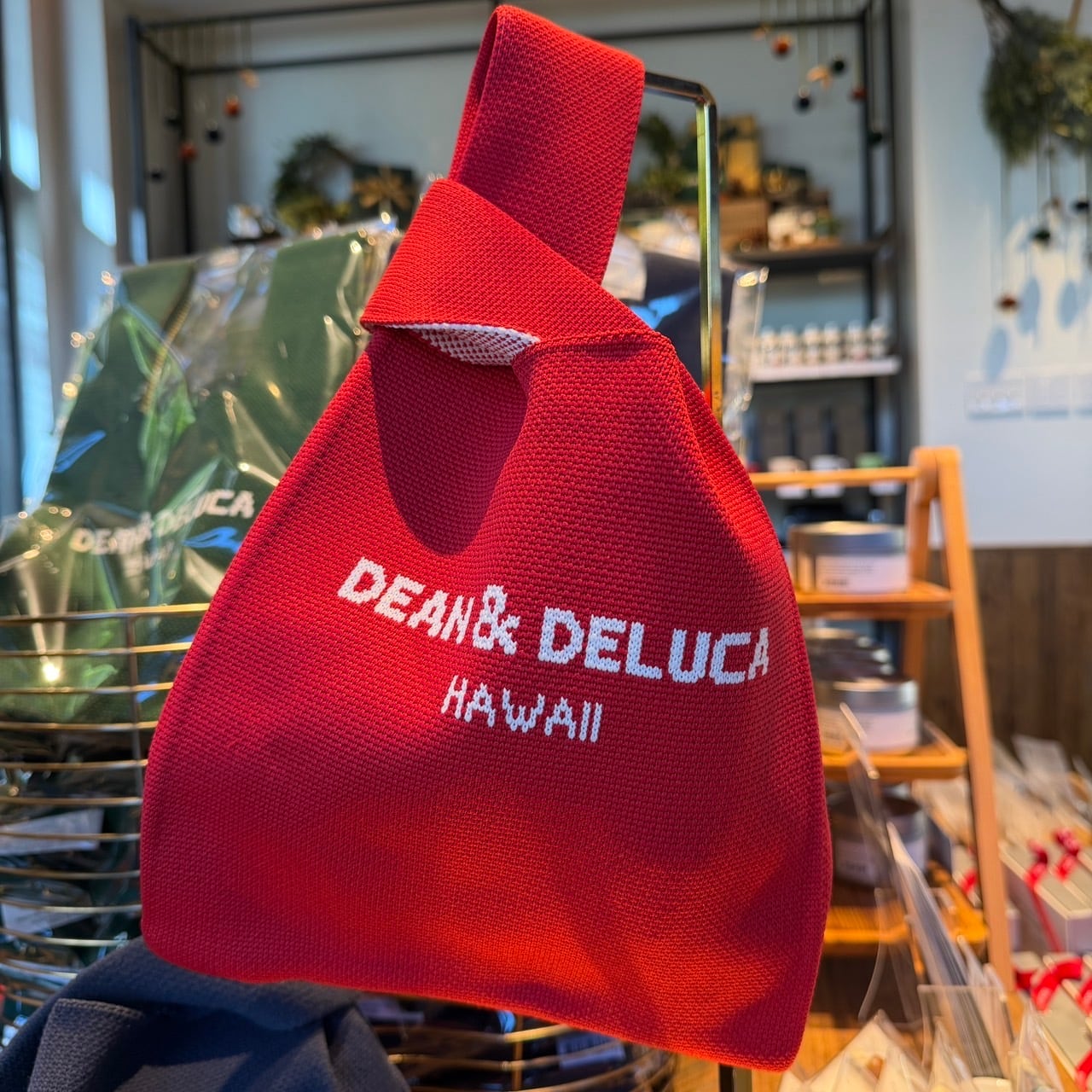 子株付き オアハカ ベアルート株 ボールタイプ_2 オペルクリカア・パキプス ベアルート販売会】 鮮度抜群のパキプス