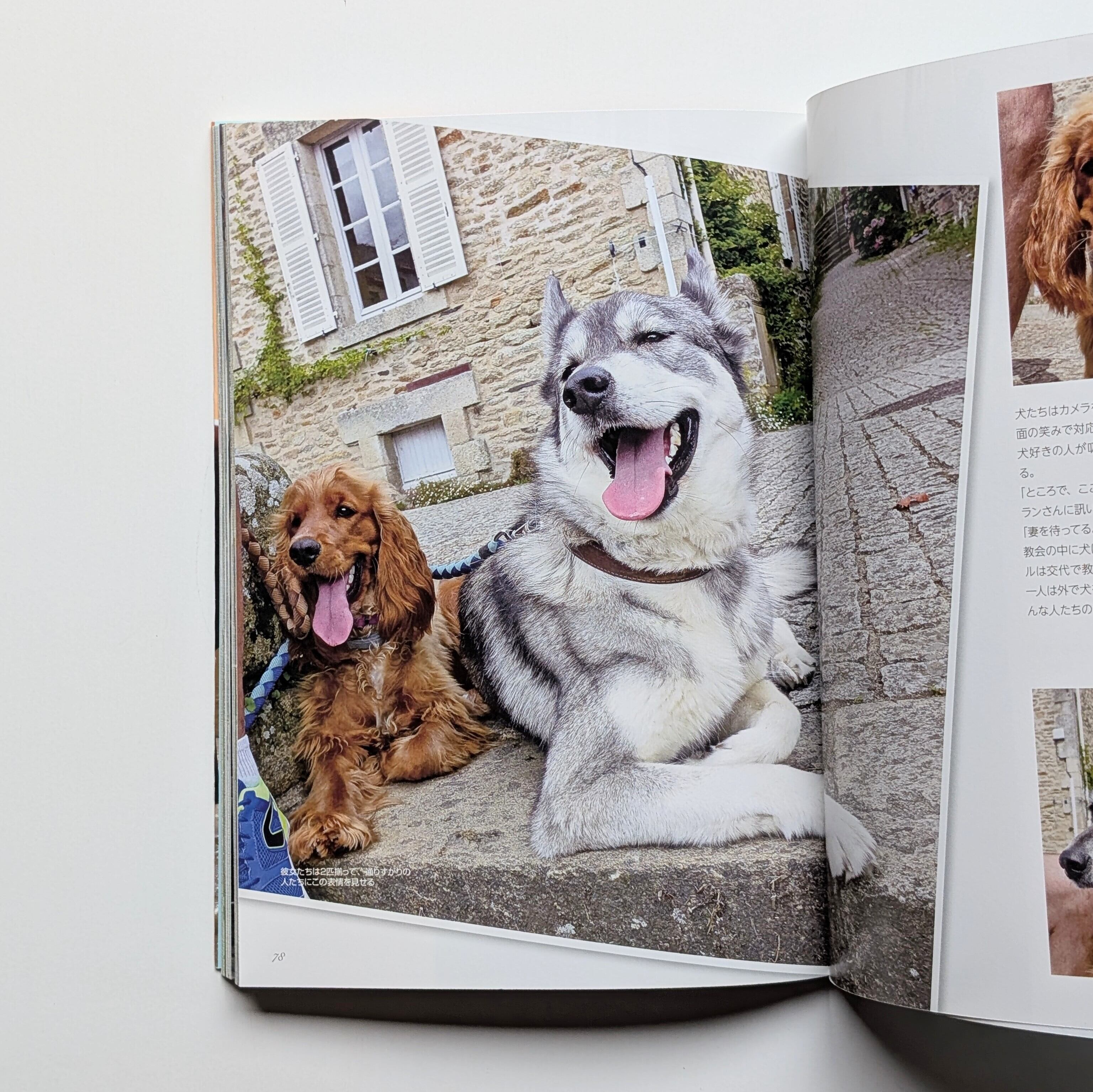 犬・ド・フランス〜犬のいる風景と出会う旅〜 | イヌグラシ