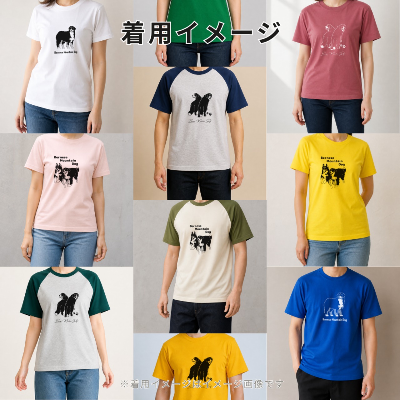 バーニーズシンプルTシャツ｜オリジナルイラスト 全29色 XS〜XL 綿100% 画像4