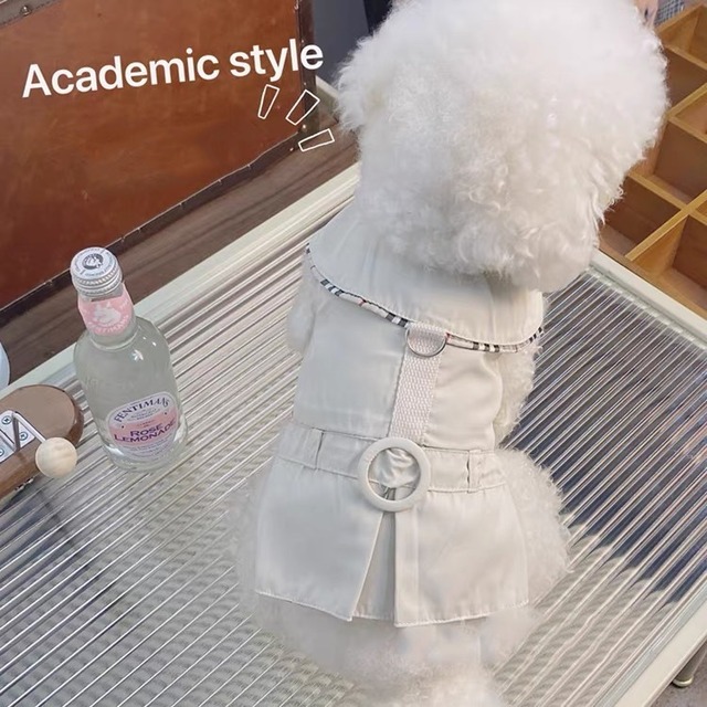 【予約】ノバチェックトレンチコート&リード