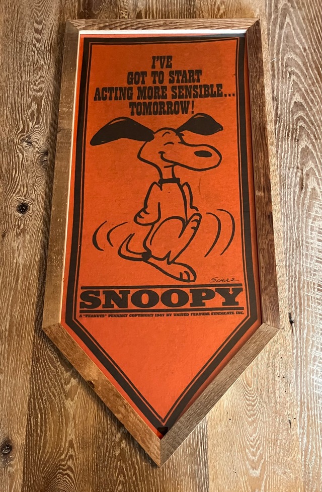 【お客様専用】SNOOPY FELT BANNER