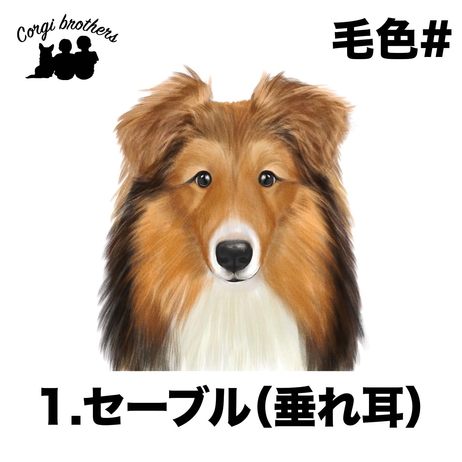 09e6f35fa59c26644b614ecba9a9c6