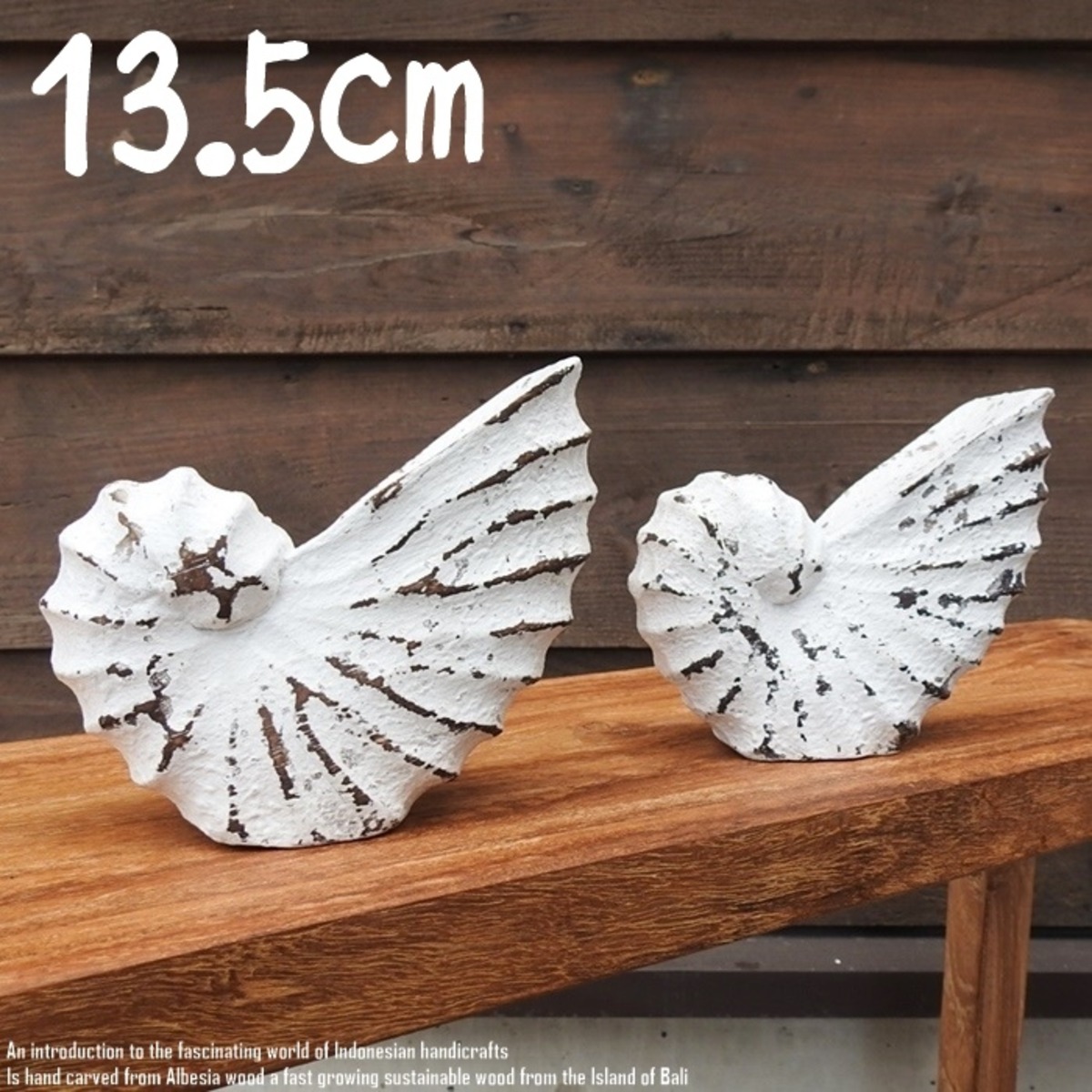 木製オブジェ オウムガイ Sサイズ 13.5cm 貝 ホワイトウォッシュ 