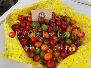【10月10日のみ限定★】（予約販売）　800g カラフルトマトギフト詰め合わせ　