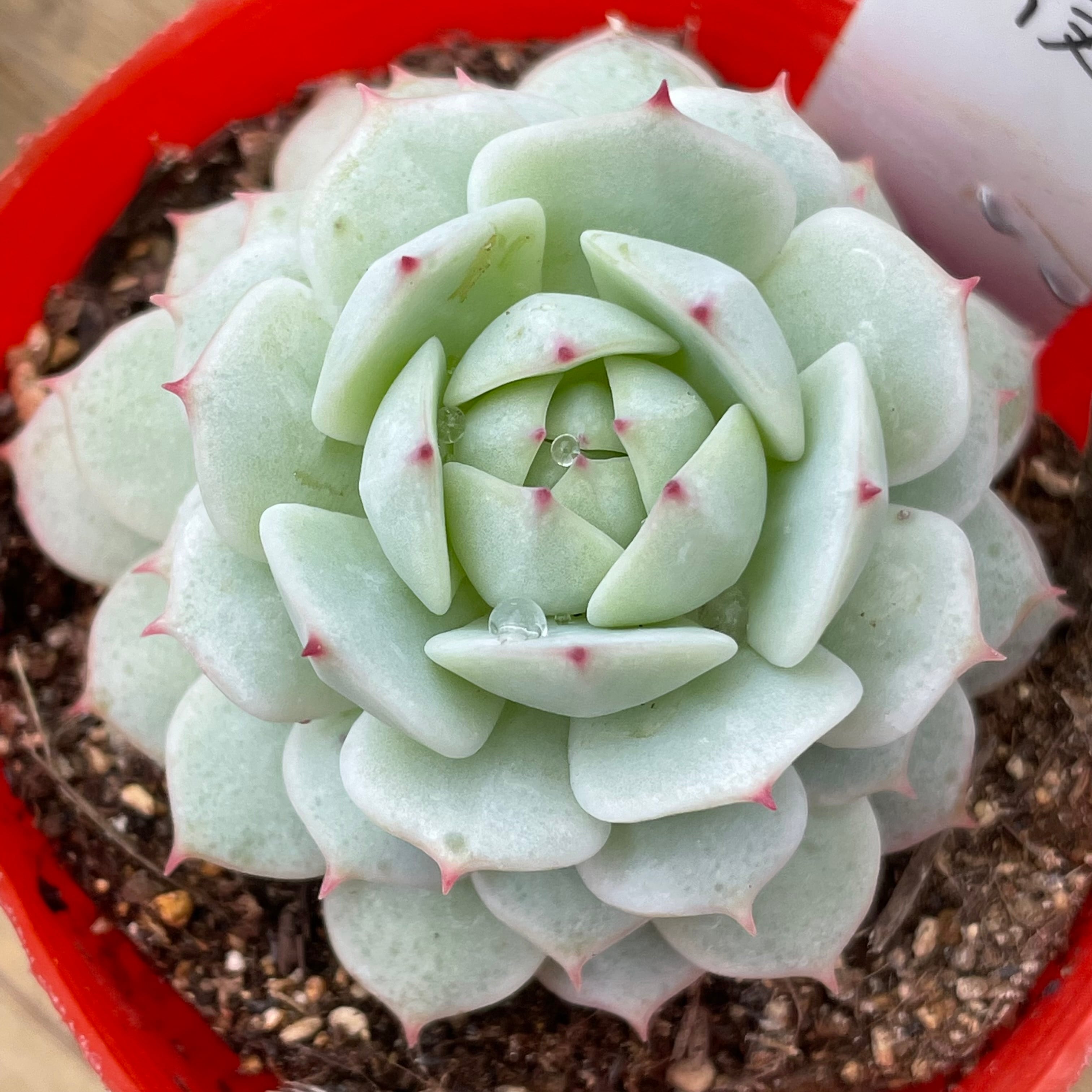 09ee30ef8d5ecb6848bda40c95cba7