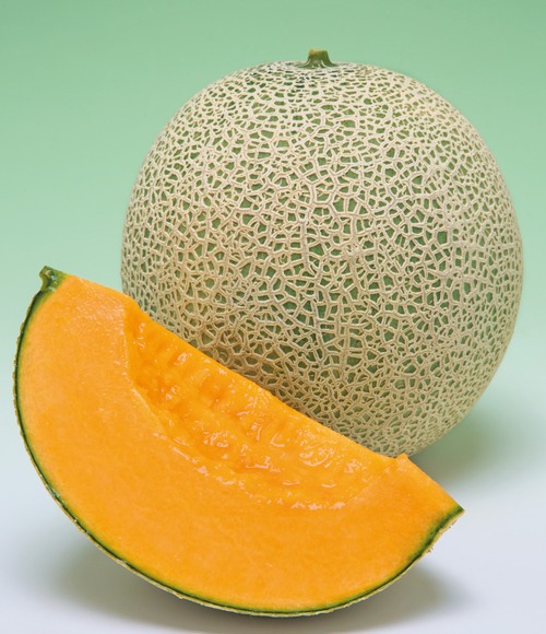 メロン「レノンハート」（100粒） 画像