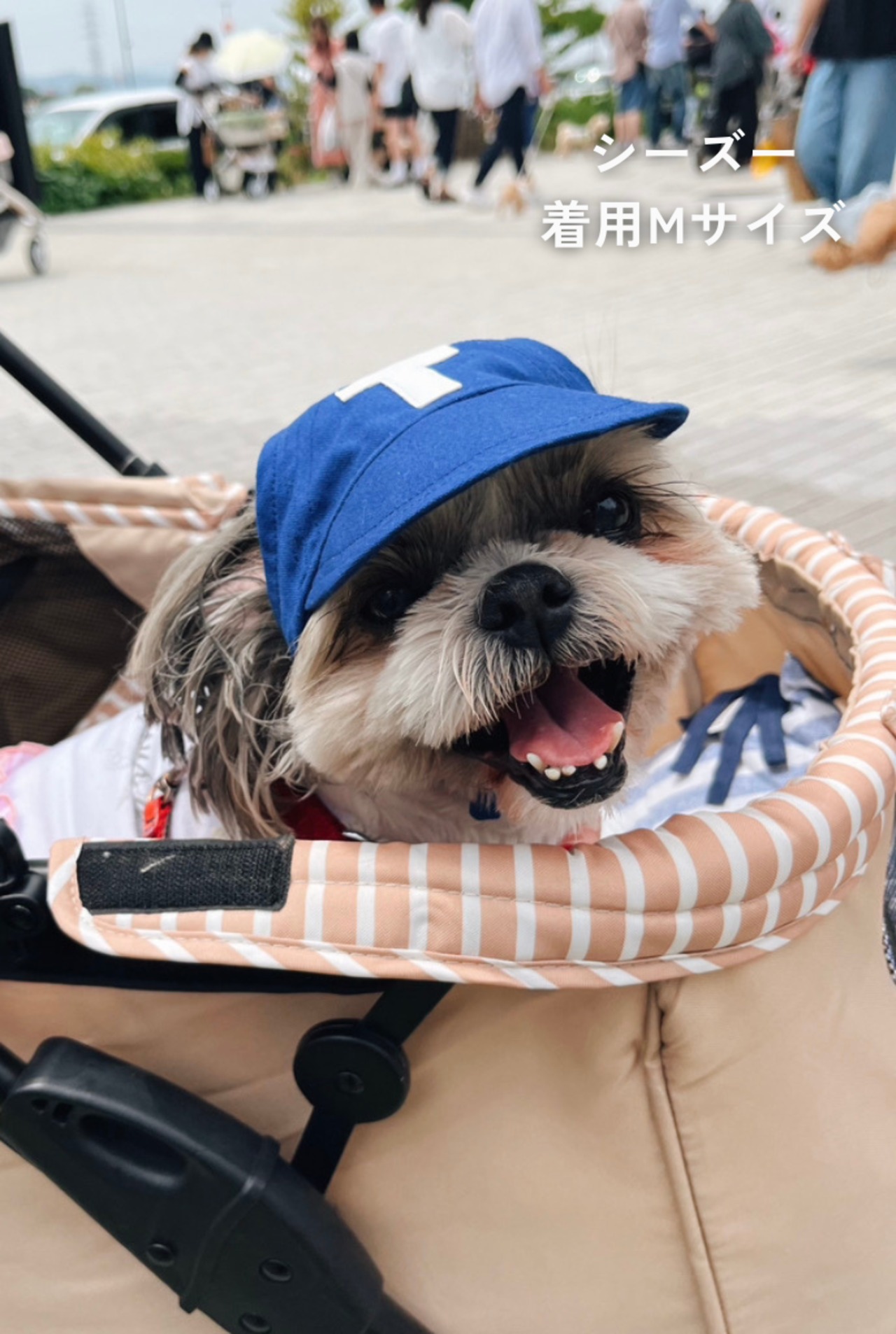 NiceDay Cap（Blue Stripe）
