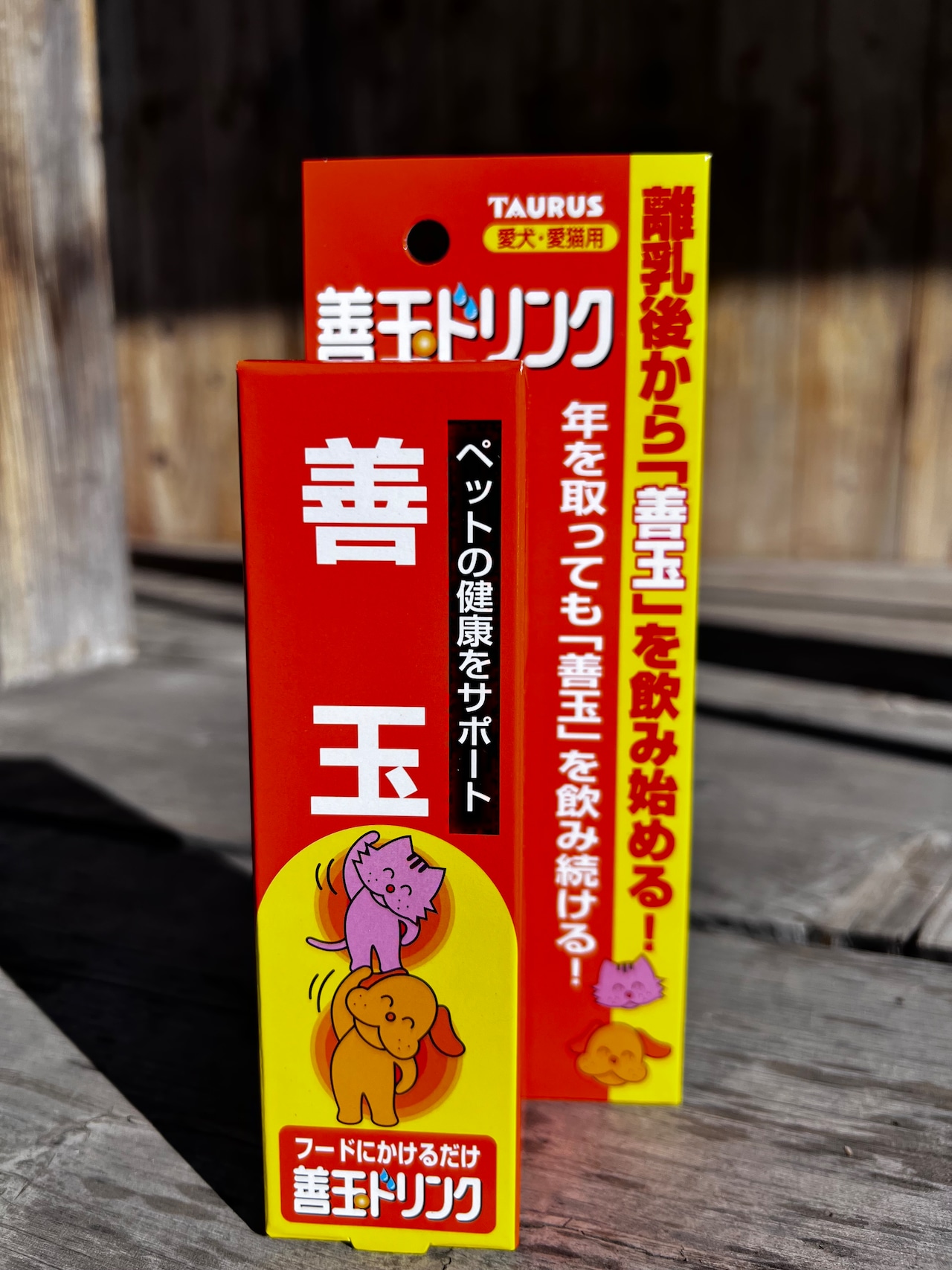 画像1