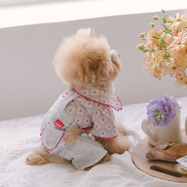 〈即納アイテム〉Rolling PEPE パステルシュシュ オーバーパンツ（ブルー）