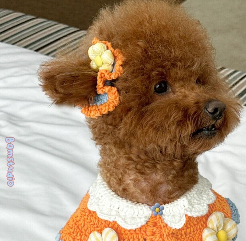 予約【Bam’studio】Flower Bombom Scrunchie (4Color)